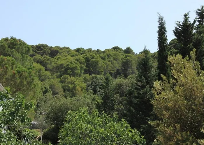 With A Parking Space Kraj, Pasman - 8259 Apartment *