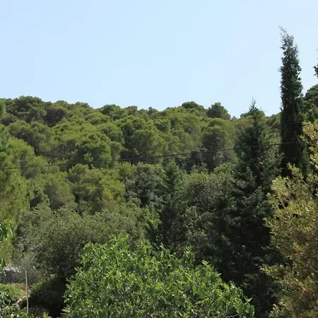 With A Parking Space Kraj, Pasman - 8259 Apartmán *