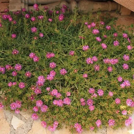 Apartmán With A Parking Space Kraj, Pasman - 8259